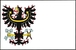 Vlajka obce Petrovice I