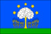 Vlajka obce Vlachovice