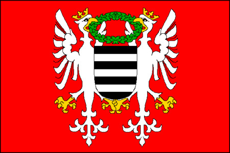 Vlajka obce Březnice