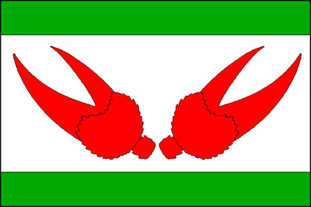 Vlajka obce Černá