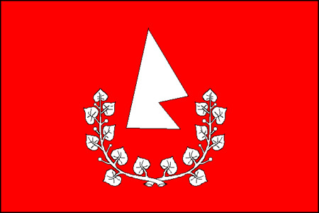 Vlajka obce Česká