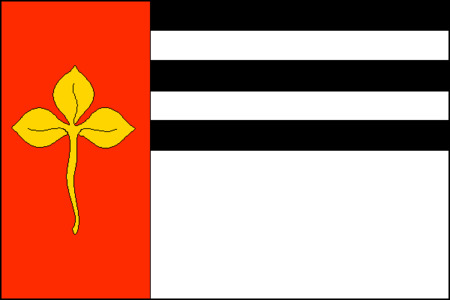 Vlajka obce Dobřichov