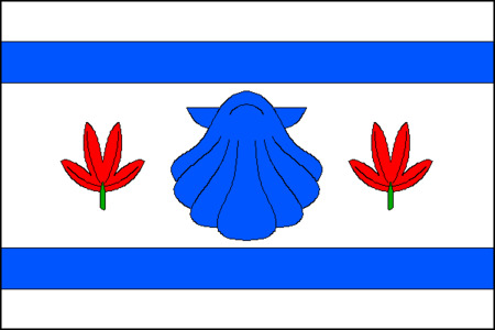 Vlajka obce Lesnice