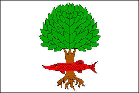 Vlajka obce Litostrov