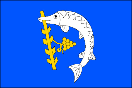 Vlajka obce Nedachlebice