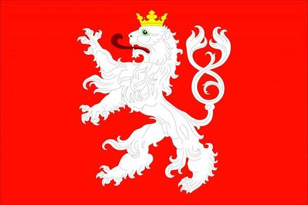 Vlajka obce Ronov nad Doubravou