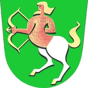 Znak obce Dešná